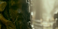 Vikings 6.20