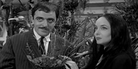 The Addams Family  1.01