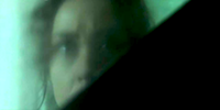 Forbrydelsen 3.04