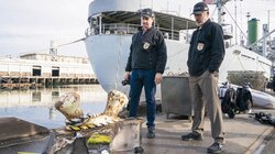 NCIS 20.13