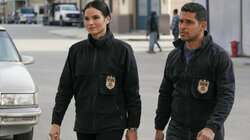 NCIS 20.14