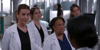 Grey's Anatomy 19.11