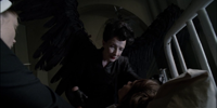 American Horror Story 2.07