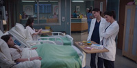Grey's Anatomy 20.08