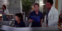 Grey's Anatomy 9.06