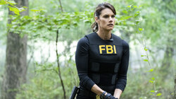 FBI 7.06