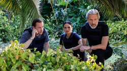 NCIS 23.02