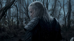 The Witcher 4.01