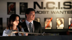 NCIS 23.03