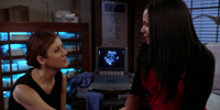 Private Practice 6.13