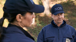NCIS 23.12