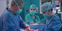 Grey's Anatomy 22.15