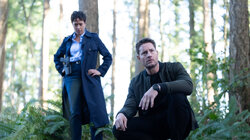 Tracker (2024) 3.17