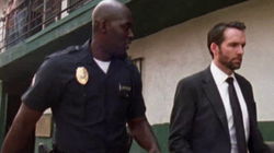 The Shield 7.11