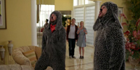Wilfred (US) 3.01