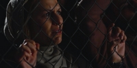 Homeland 3.12