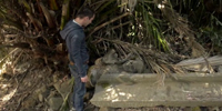 Wilfred (US) 3.13