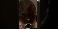 Ravenswood 1.03