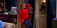 The Big Bang Theory 7.08