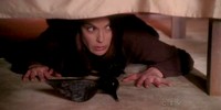 Desperate Housewives 5.14