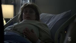 House, M.D. 5.20