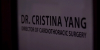 Grey's Anatomy 10.24