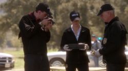 NCIS 12.03