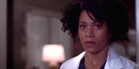 Grey's Anatomy 11.02