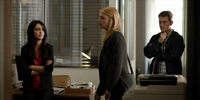 Homeland 4.03