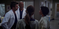 Grey's Anatomy 11.08