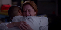 Grey's Anatomy 11.09