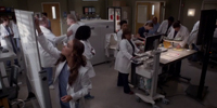 Grey's Anatomy 11.10