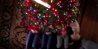 Grey's Anatomy 2.12