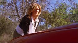 Criminal Minds 4.23