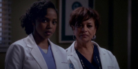 Grey's Anatomy 11.19