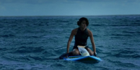 Hawaii Five-0 (2010) 5.23