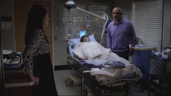 Grey's Anatomy 3.25