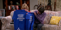 The Big Bang Theory 9.13