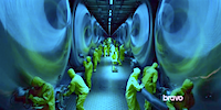 Colony 1.08