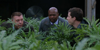 Brooklyn Nine-Nine 3.16