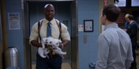 Brooklyn Nine-Nine 3.19