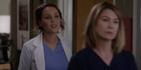 Grey's Anatomy 12.14