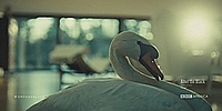 Orphan Black 4.07