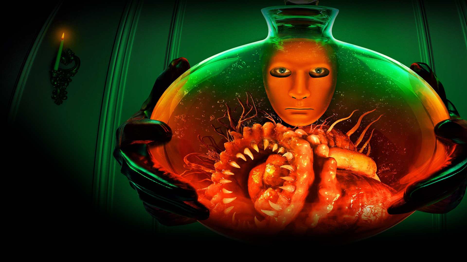 what can i watch american horror story on