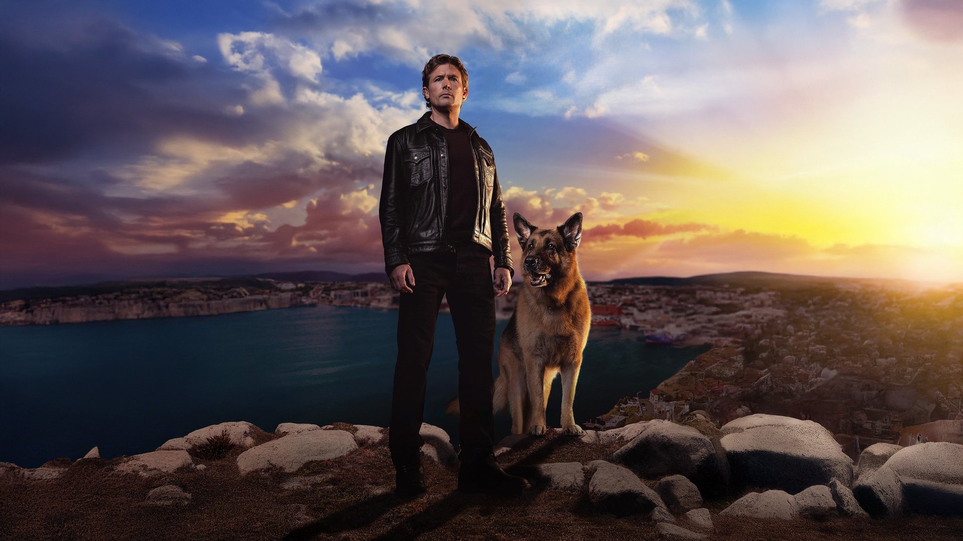 Hudson &amp; Rex saison 7 épisode 06 : Bee-Deviled - Spin-off.fr