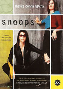 Snoops (1999)
