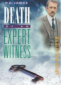 Death of an Expert Witness