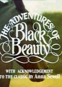 The New Adventures of Black Beauty