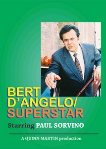 Bert D'Angelo Superstar