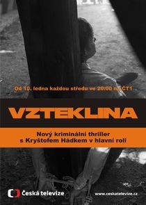 Vzteklina